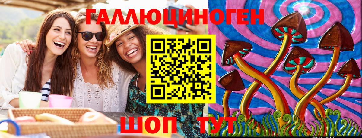 Галлюциногенные грибы Magic Shrooms  Вход с VPN  Псилоцибиновые грибы GOLDEN TEACHER  Фрязино 